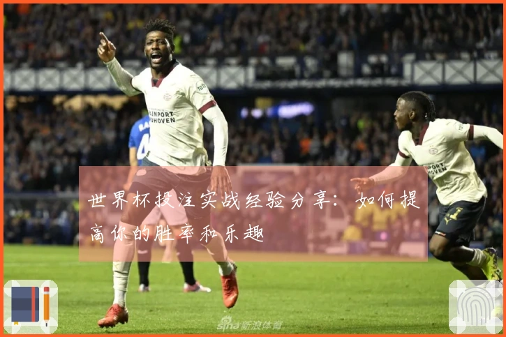 世界杯投注实战经验分享：如何提高你的胜率和乐趣
