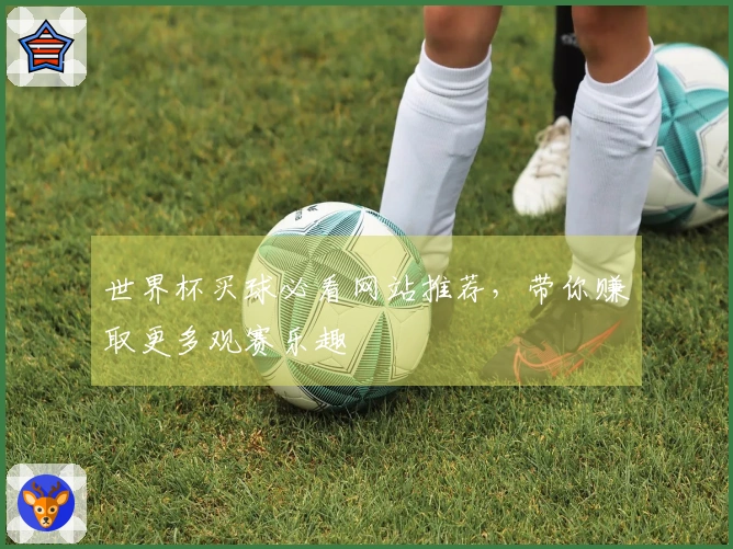 世界杯买球必看网站推荐，带你赚取更多观赛乐趣