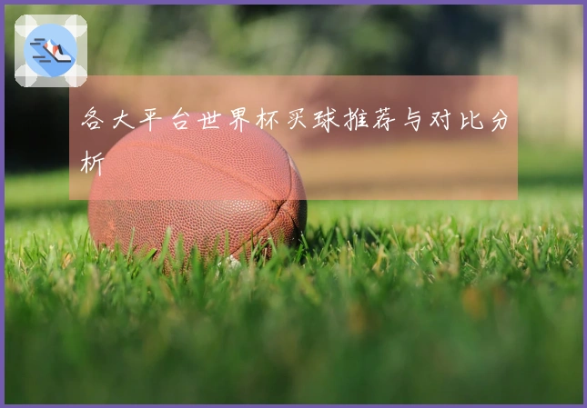 各大平台世界杯买球推荐与对比分析