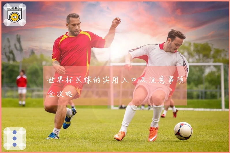 世界杯买球的实用入口及注意事项全攻略