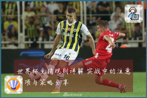世界杯竞猜规则详解 实战中的注意事项与策略分享