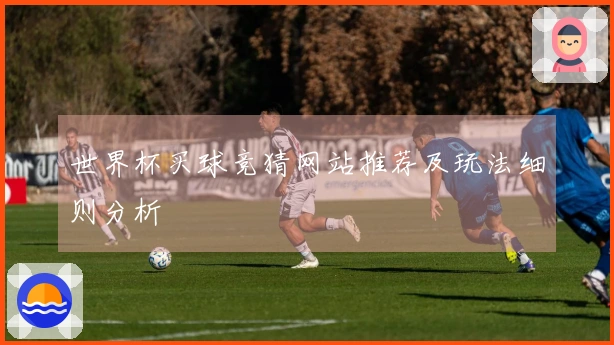 世界杯买球竞猜网站推荐及玩法细则分析