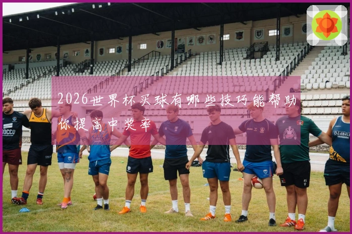 2026世界杯买球有哪些技巧能帮助你提高中奖率
