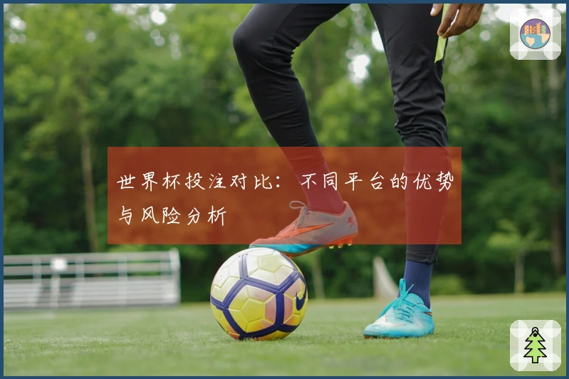 世界杯投注对比：不同平台的优势与风险分析