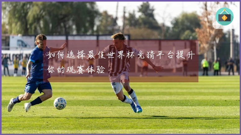 如何选择最佳世界杯竞猜平台提升你的观赛体验