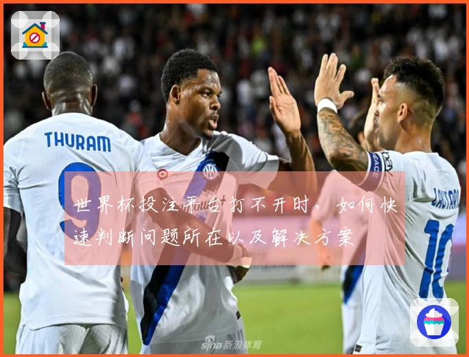 世界杯投注平台打不开时，如何快速判断问题所在以及解决方案