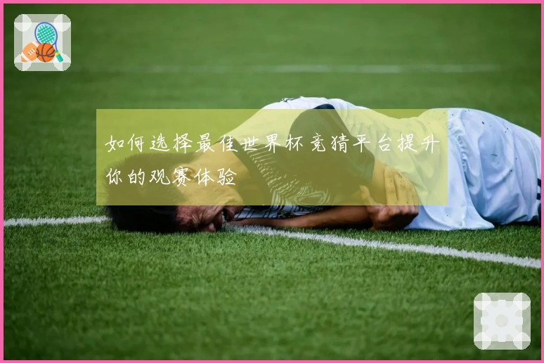 如何选择最佳世界杯竞猜平台提升你的观赛体验
