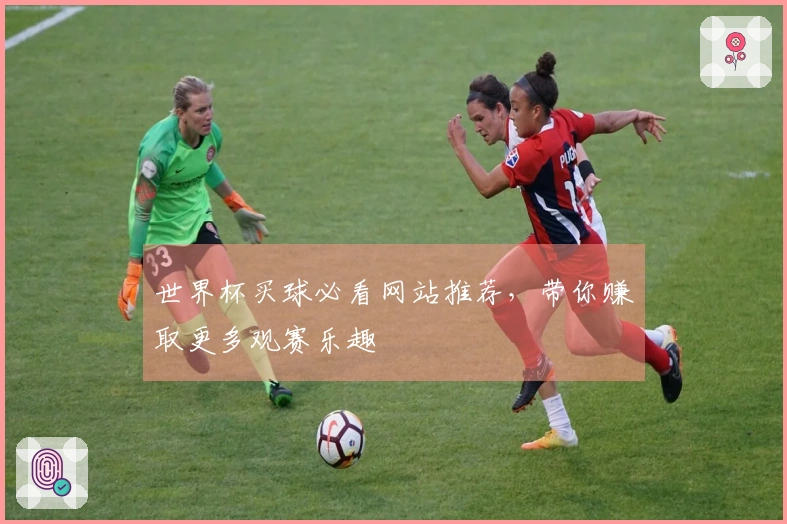 世界杯买球必看网站推荐，带你赚取更多观赛乐趣