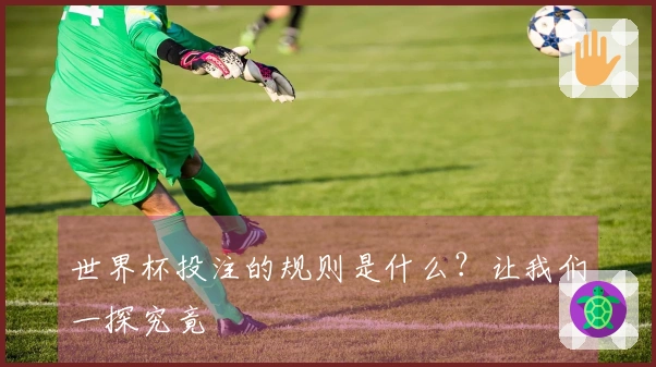 世界杯投注的规则是什么？让我们一探究竟