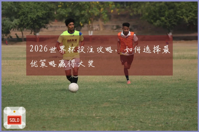 2026世界杯投注攻略，如何选择最优策略赢得大奖