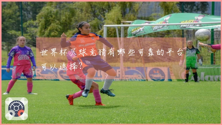 世界杯买球竞猜有哪些可靠的平台可以选择？