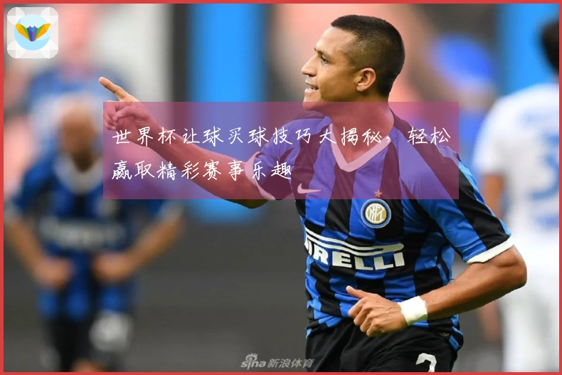 世界杯让球买球技巧大揭秘，轻松赢取精彩赛事乐趣